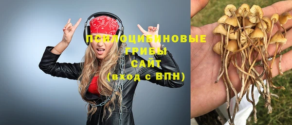 кокаин колумбия Алексин